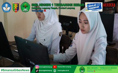 Pelaksanaan Asesmen Nasional Berbasis Komputer (ANBK) Tahun 2024